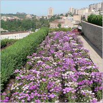 Click to enlarge photo of Beautiful Armenia