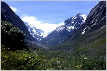 Click to enlarge Alpine Photo - French, Swiss and Austrian Alps