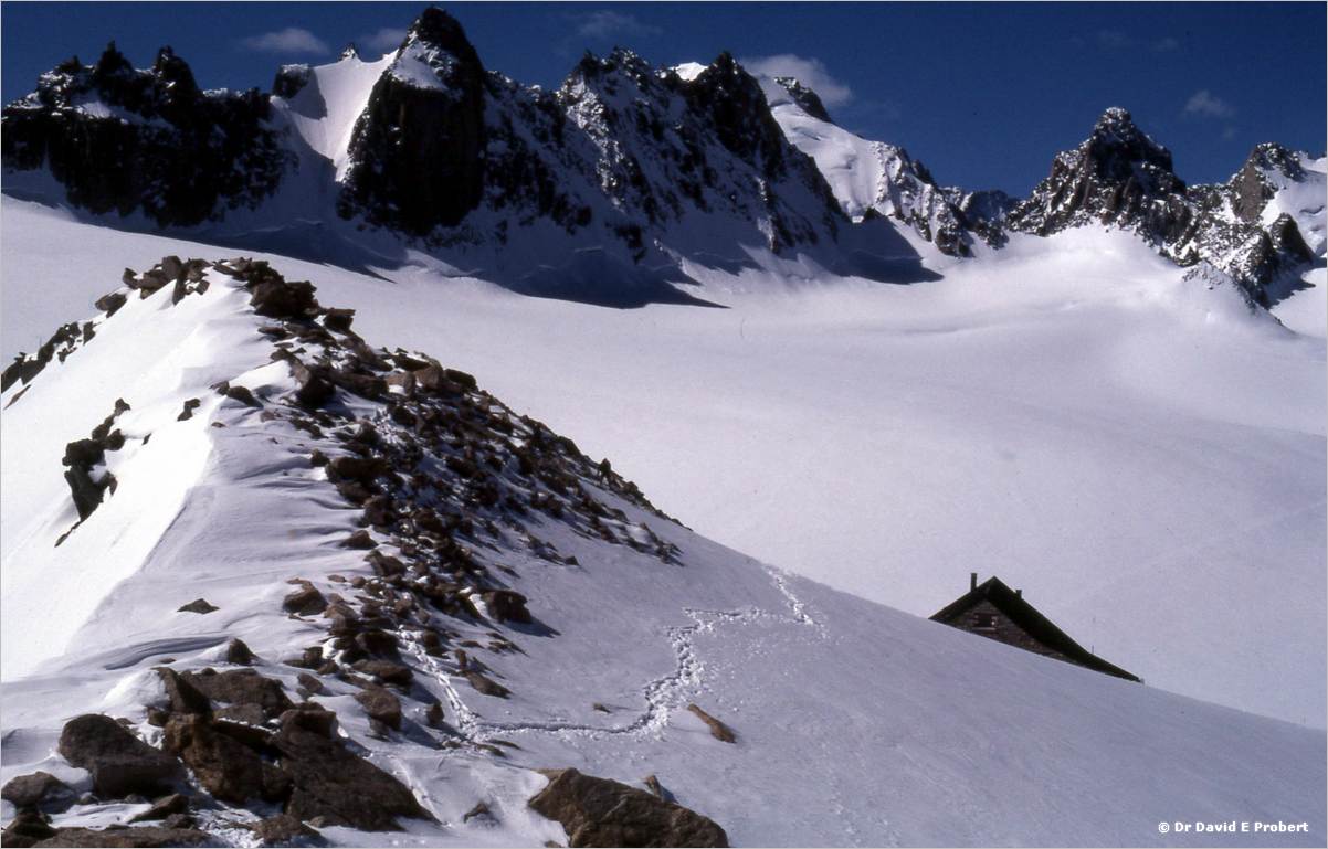 image009