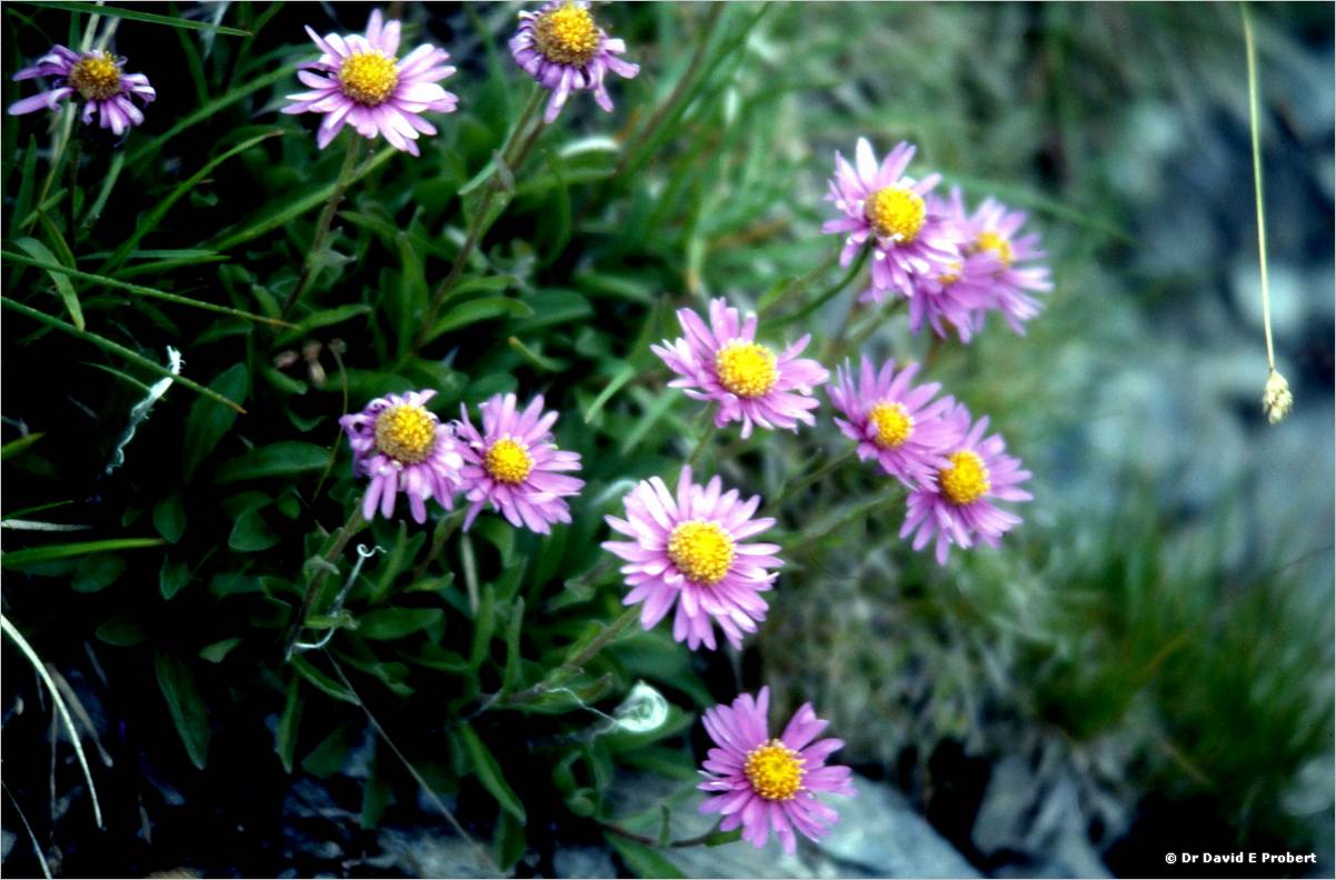 image044