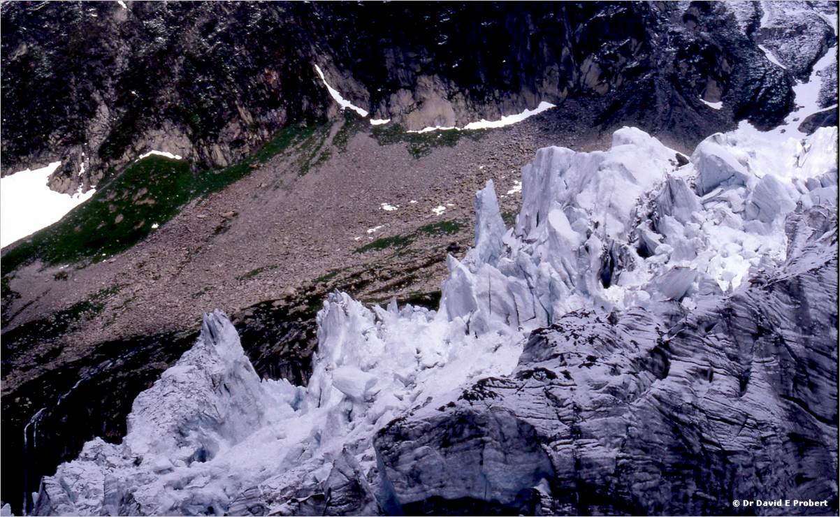 image301