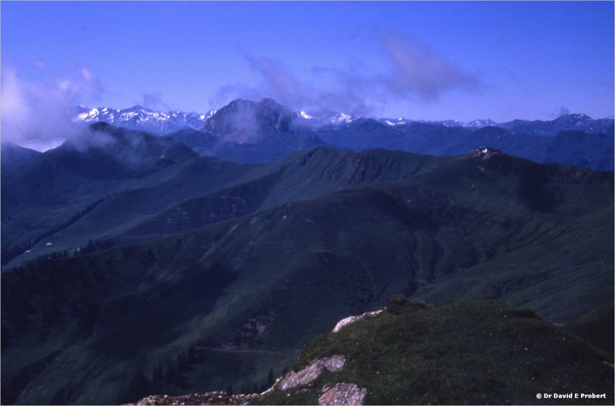 image904