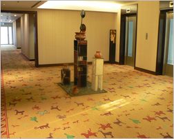 Click HERE to Enlarge Salta Photo!