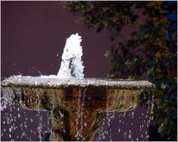 Click HERE to Enlarge Salta Photo!