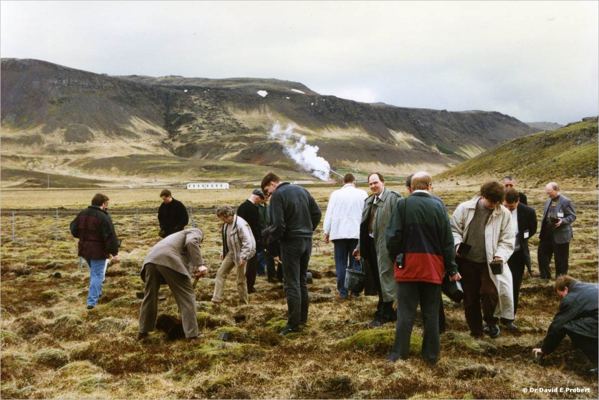 image001