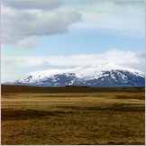 Click to enlarge Icelandic Photo