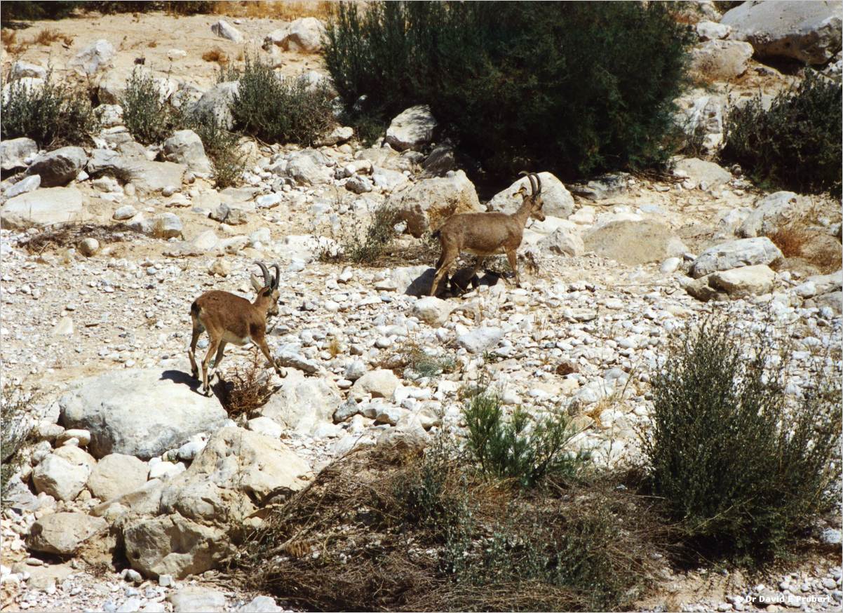 image050