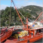 Click to enlarge photo - Istanbul, the Princes Islands and Bosphorus - March 2007