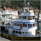 Click to enlarge photo - Istanbul, the Princes Islands and Bosphorus - March 2007