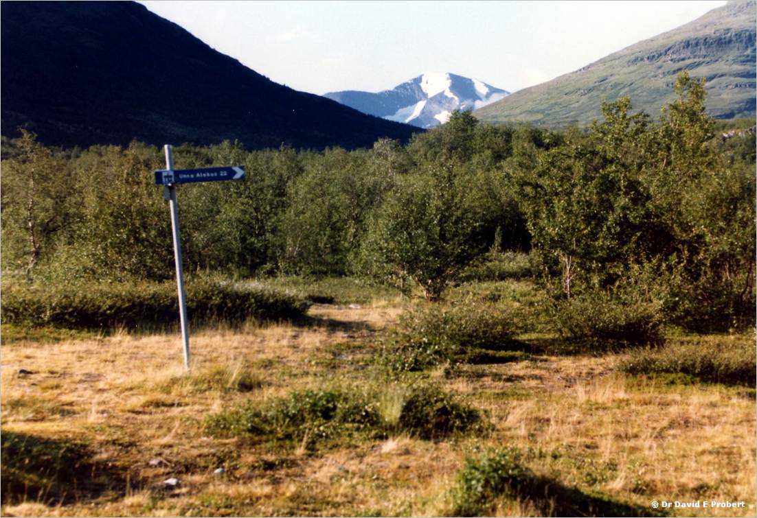 image009
