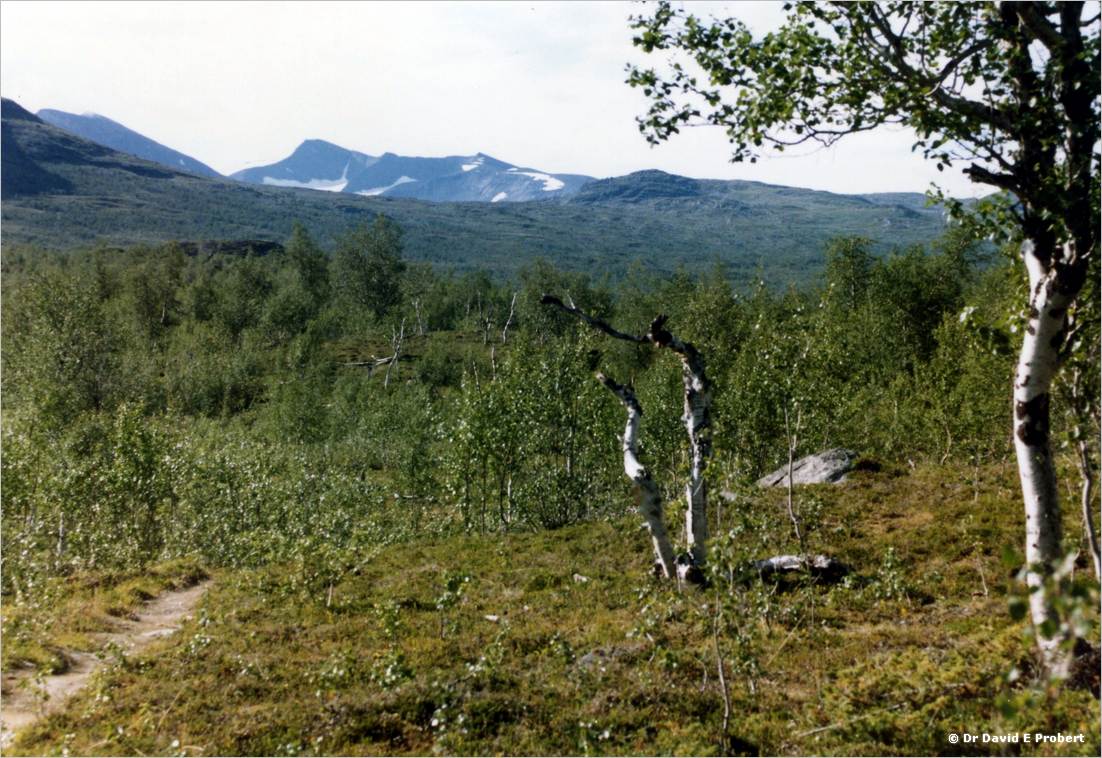 image010