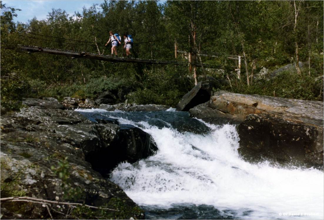 image011