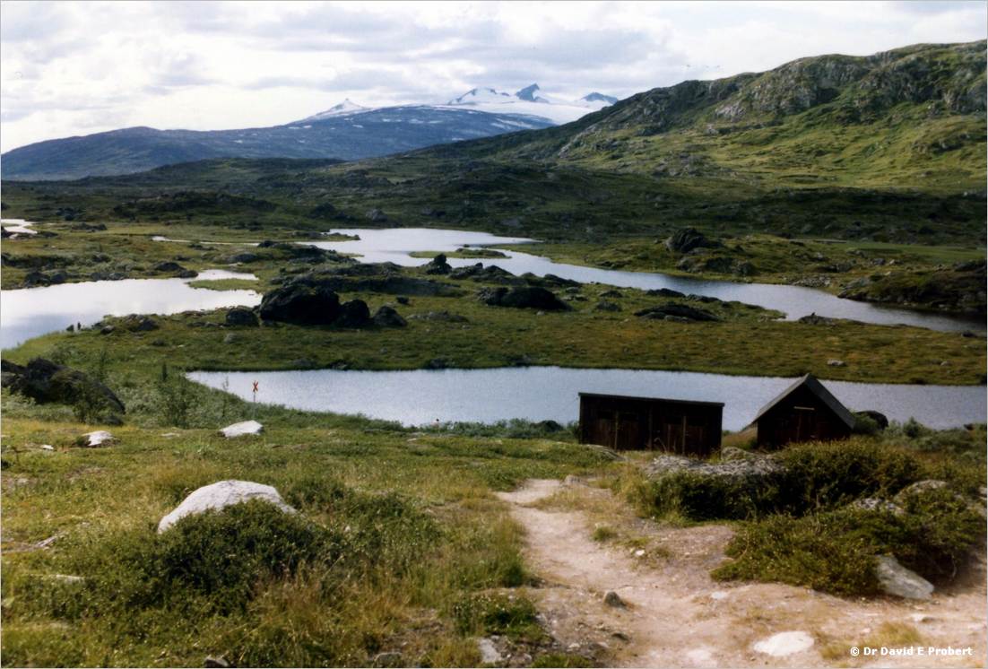 image013