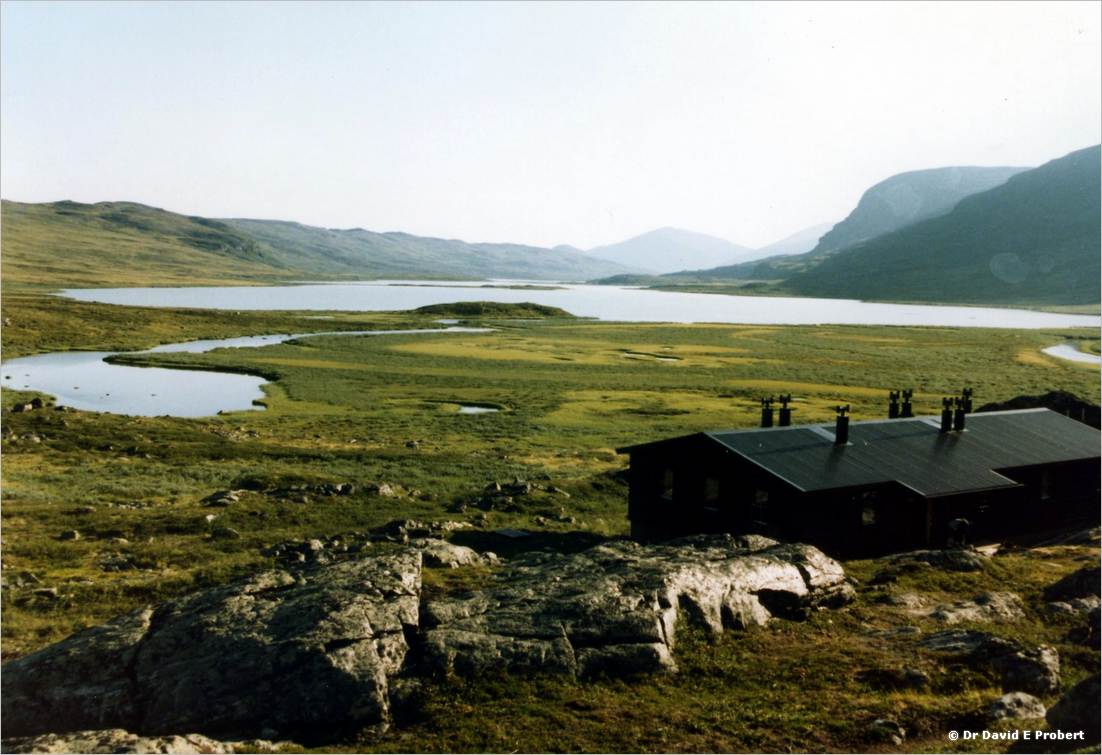 image017