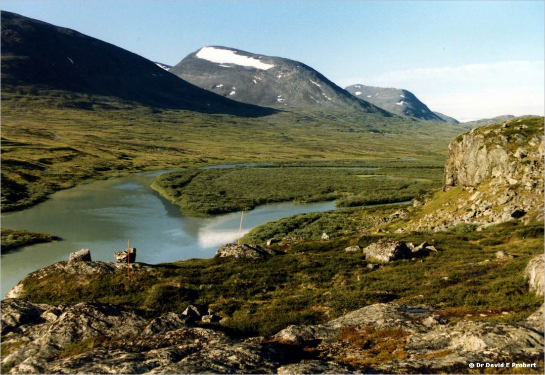 image019