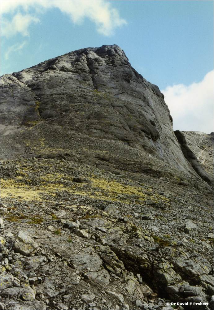 image002