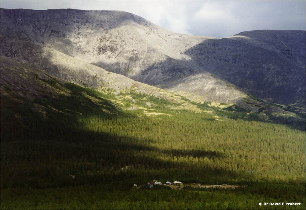 image004
