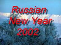 Join us for New Year Celebrations for 2001-2002 with photos of the wild arctic nature during the 3 week polar night