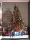 New Year Tree with Skating Rink and Historical Museum - Red Square, Moscow