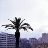 Click to enlarge SS Nevasa Photo - Cruise Visited Gibraltar, Tripoli (Libya), Istanbul, Athens and Venice! School Party from Hemel Hempstead Grammar School - 23rd March  1967 to 7th April 1967
