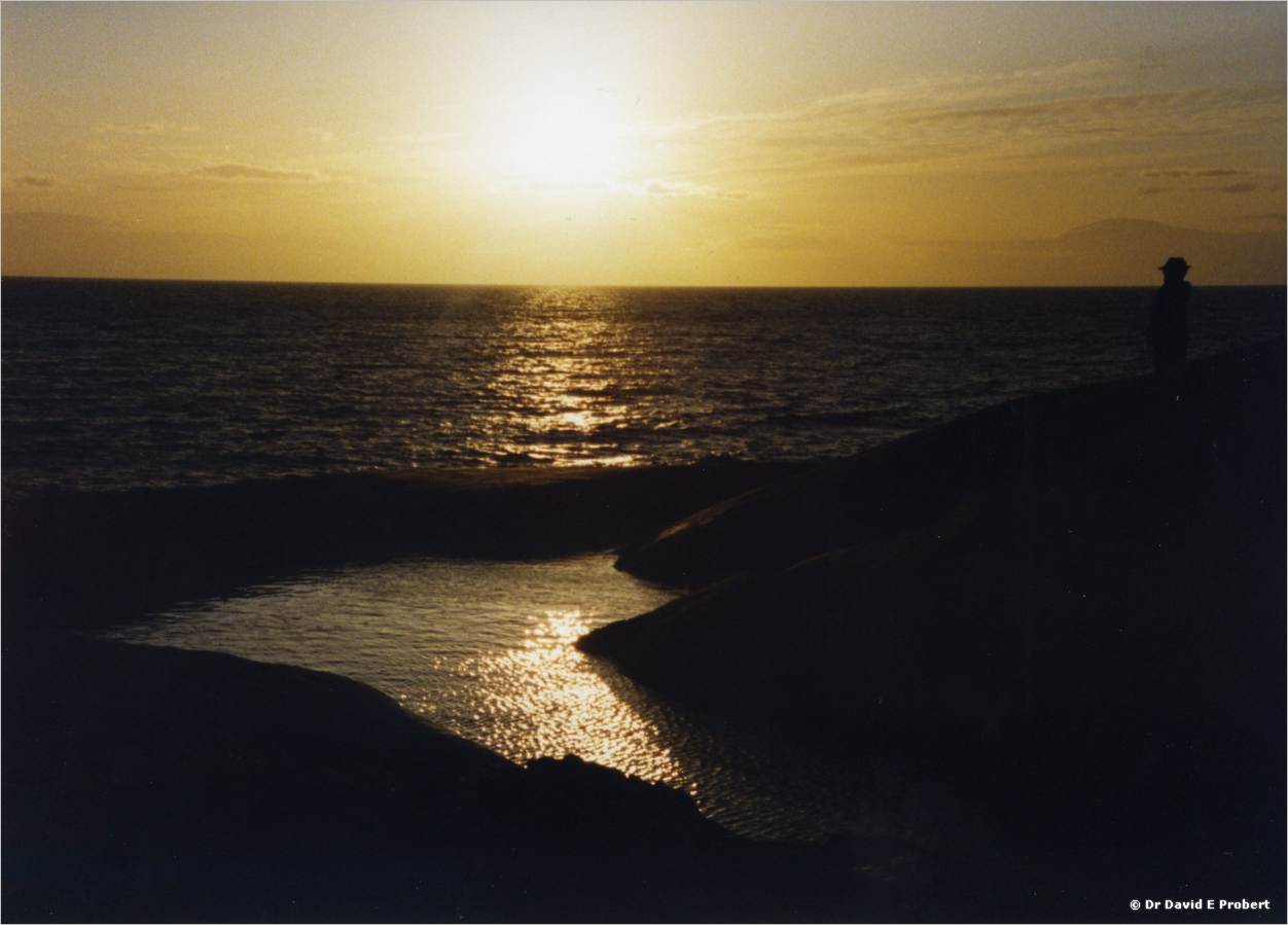 image007