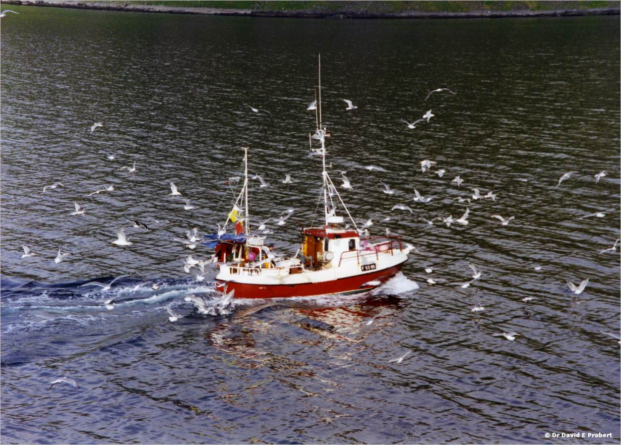 image034