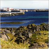 Click to enlarge Photo of the Drive & Cruise from Kirkenes to North Cape (Nordkapp) through kjollefjord, Gamvik, Mehmann and Honningsvag.