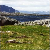 Click to enlarge Photo of the Drive & Cruise from Kirkenes to North Cape (Nordkapp) through kjollefjord, Gamvik, Mehmann and Honningsvag.