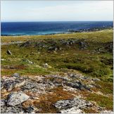 Click to enlarge Photo of the Drive & Cruise from Kirkenes to North Cape (Nordkapp) through kjollefjord, Gamvik, Mehmann and Honningsvag.