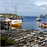 Click to enlarge Photo of the Drive & Cruise from Kirkenes to North Cape (Nordkapp) through kjollefjord, Gamvik, Mehmann and Honningsvag.