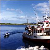 Click to enlarge Photo of the Drive & Cruise from Kirkenes to North Cape (Nordkapp) through kjollefjord, Gamvik, Mehmann and Honningsvag.