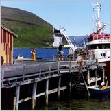 Click to enlarge Photo of the Drive & Cruise from Kirkenes to North Cape (Nordkapp) through kjollefjord, Gamvik, Mehmann and Honningsvag.