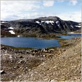 Click to enlarge Photo of the Drive & Cruise from Kirkenes to North Cape (Nordkapp) through kjollefjord, Gamvik, Mehmann and Honningsvag.