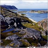 Click to enlarge Photo of the Drive & Cruise from Kirkenes to North Cape (Nordkapp) through kjollefjord, Gamvik, Mehmann and Honningsvag.
