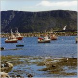 Click to enlarge Photo of the Drive & Cruise from Kirkenes to North Cape (Nordkapp) through kjollefjord, Gamvik, Mehmann and Honningsvag.