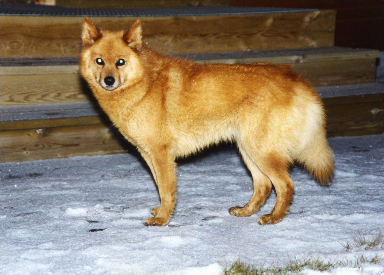 image013