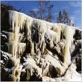 Click to enlarge Photo of Winter Scenes in the beautiful natural Pasvik Valley on the Arctic Norwegian-Russian Frontier at 70 degrees North .