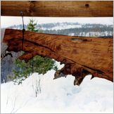 Click to enlarge Photo of Winter Scenes in the beautiful natural Pasvik Valley on the Arctic Norwegian-Russian Frontier at 70 degrees North .