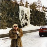 Click to enlarge Photo of Winter Scenes in the beautiful natural Pasvik Valley on the Arctic Norwegian-Russian Frontier at 70 degrees North .