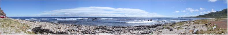 Cape Point Beach - Looking towards the Atlantic Ocean (Cape of Good Hope Peninsula Park)