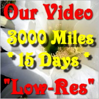 Click to View Video (Low Res - 340kbits/sec) of our 3000mile - 15 Day South African Tour -  Jan/Feb 2009