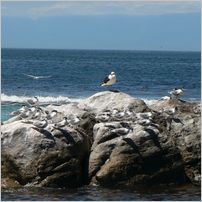 Click to enlarge photo from our 3000Mile tour of South Africa - Jan/Feb 2009