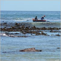 Click to enlarge photo from our 3000Mile tour of South Africa - Jan/Feb 2009