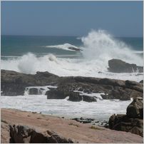 Click to enlarge photo from our 3000Mile tour of South Africa - Jan/Feb 2009