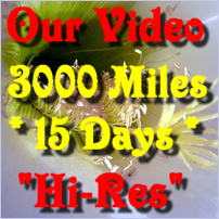 Click to View Video (Hi-Res - 768kbits/sec) of our 3000mile - 15 Day South African Tour -  Jan/Feb 2009