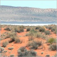 Click to enlarge photo from our 3000Mile tour of South Africa - Jan/Feb 2009