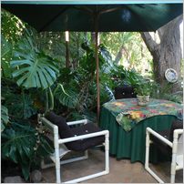 Click to enlarge photo from our 3000Mile tour of South Africa - Jan/Feb 2009