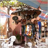 Click to enlarge photo from our 3000Mile tour of South Africa - Jan/Feb 2009