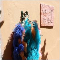 Click to enlarge photo from our 3000Mile tour of South Africa - Jan/Feb 2009