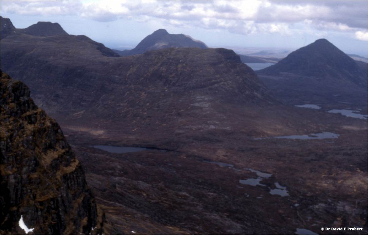 image006
